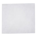 AIR FILTERS FOR DCA VANTAGE, 2/PK, SOLD AS PACK SIEMENS 10000394