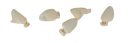 Polycarbonate Crowns