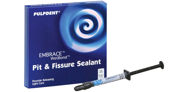 Embrace P&F Sealant Off-White