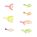 NeoTray Anterior 30/bx Premier