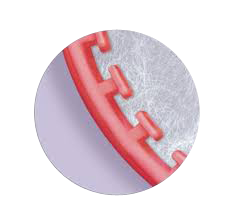 TLOC Triple Tray Anterior 28/bx. - Premier