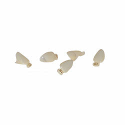 Polycarbonate Crowns #102 5/pk. - Osung USA
