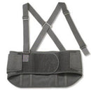 ProFlex® Standard Back Support, Large, 1/EA