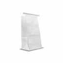 SAFETEC POLY-LINED PAPER BAG (VOMIT). BAG POLY-LINED PAPER - VOMIT4.75IN X 3.25IN X 9IN 1000/CS, CASE