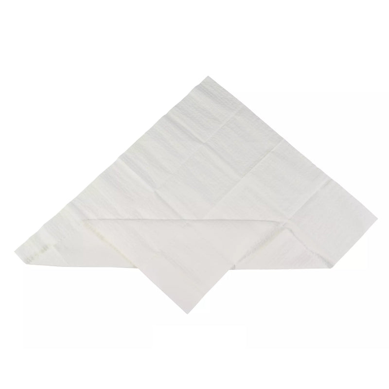 STERILIZATION TRAY LINER, 19-1/2 X 23 INCH, SOLD AS 400/CASE CARDINAL AT31019B