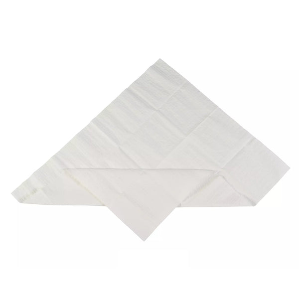 STERILIZATION TRAY LINER, 19-1/2 X 23 INCH, SOLD AS 50/BAG CARDINAL AT31019B