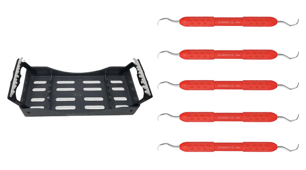 Dental Micro Scaler SMS11-12 Comfort Edition With Cassette 5 Pcs - Osung USA