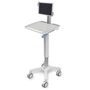 LAPTOP HOLDER, SOLD AS EACH CAPSA 10001120