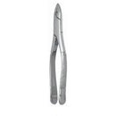Extracting Forceps Universal