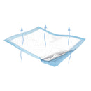 UNDERPAD, 30" X 36", LT. BLUE, 10/BG, 6 BG/CS, SOLD AS CASE CARDINAL 261