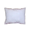 PILLOW, 21" X 27", HOLLOFIL, 18 OZ FILL, WASHABLE, 12/CS, SOLD AS CASE LEW 10000063