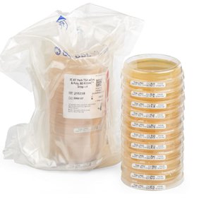 Bd Bbl Prepared Media Agar Soy Trypticase Screwcap 10/Pk Nr