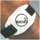BAND-IT ANKLE STRAP, STYLE 31 PRODUCTS CANNOT BE SOLD ON AMAZON.COM, THROUGH FULFILLMENT ON AMAZON.COM, OR TO ANY OTHER VENDOR WHO, SOLD AS EACH PRO 1