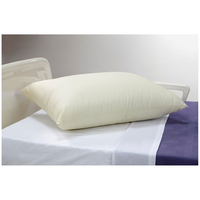 PILLOW, BEIGE, 21" X 27", MEDIUM LOFT, 12/CS, SOLD AS CASE ENCOMPASS 10000648
