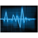 Vectracor Q200 Holter Recorder Accessories: Holter Lx Analysis Software - Enhanced Plus, ACCESSORY / PART ONLY -701011-00