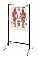 PORTABLE CHART STAND, SOLD AS EACH ANATOMICAL 10000765