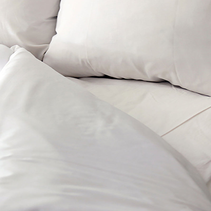 T130 BASIC PLUS FITTED BED SHEET, 36 X 84 INCH, SOLD AS 12/DOZEN ROYAL 103394