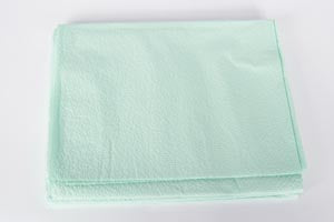 DRAPE SHEET, PATIENT, 40" X 60", 2-PLY TISSUE, WHITE, 100/CS, SOLD AS CASE TIDI 203