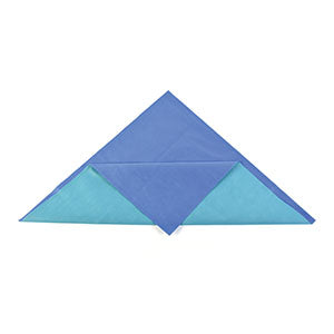 Cardinal Health Sms Two-Color Or Single Layer Sterilization Wrap. Wrap Sterilization Ch500 Smsblue/Green 54X90 24/Cs, Case