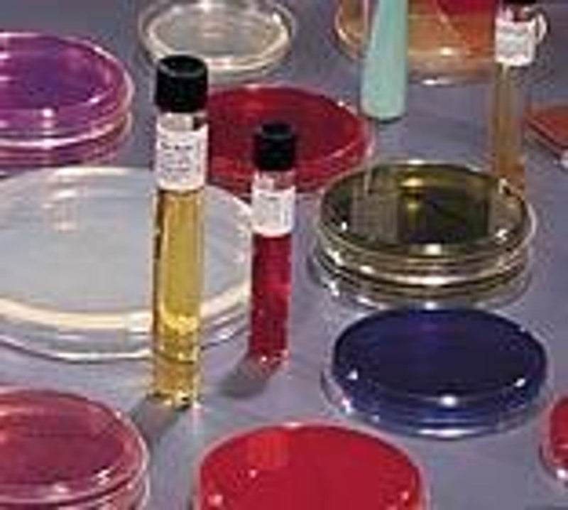 Bd Bbl Prepared Media Agar Slant Urea Christensen100/Pk